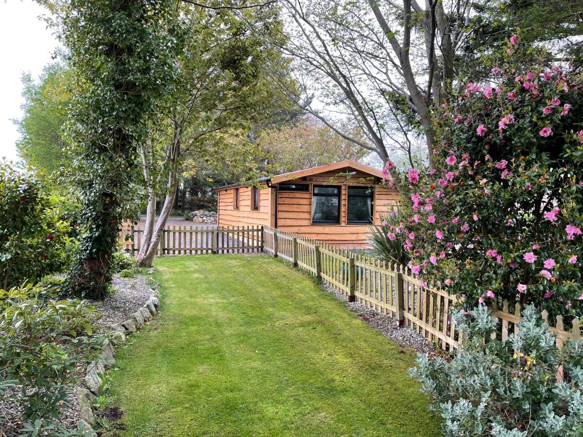 Snowdonia Cabin Caernarfon Eksteriør billede